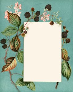 September von Alicia Amy Leith
