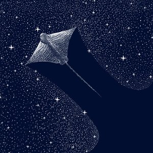 Kosmischer Adlerrochen von Alirıza ÇAKIR