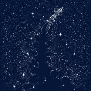 Kosmischer Tintenfischaufstieg von Alirıza ÇAKIR