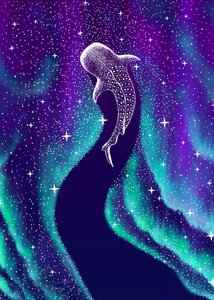 Nordlichter Walhai von Alirıza ÇAKIR