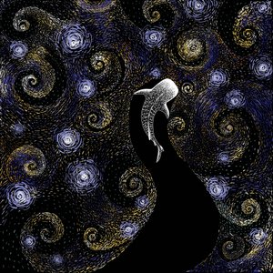 Walhai Sternennacht von Alirıza ÇAKIR