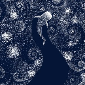 Walhai Sternenozean von Alirıza ÇAKIR