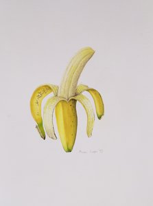 Eine halbgeschälte Banane, 1997 von Alison Cooper