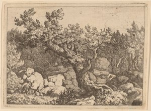 Sportler in der Nähe eines großen Baumes, wahrscheinlich ca. 1645-1656 von Allart van Everdingen