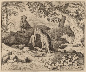 Der Dachs geht, um Reynard zu warnen, wahrscheinlich ca. 1645-1656