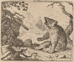 Der Bär als Bote, wahrscheinlich um 1645-1656 von Allart van Everdingen
