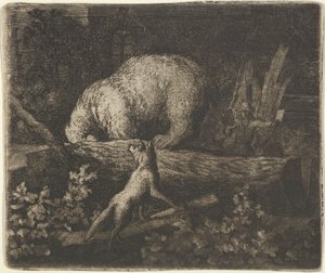 Der Bär mit seiner Schnauze und seinen Vorderpfoten im Stamm eines Baumes gefangen, Mitte des 17. Jahrhunderts
