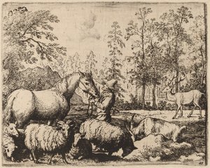 Das Pferd und der Hirsch