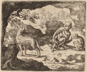 Der Wolf und die Affen