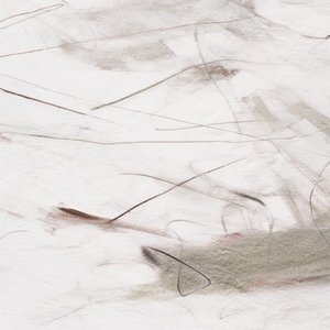 Subtile fließende Linien von Alma