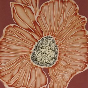 Warme botanische Blüte von Alma