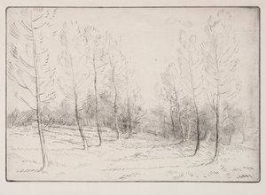 Pappelallee von Alphonse Legros