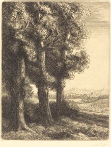 Ecke eines Waldes von Alphonse Legros