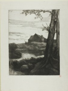 Bauernhof mit großem Baum