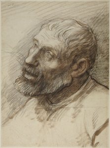 Kopf eines bärtigen Mannes von Alphonse Legros