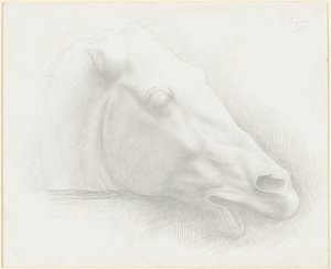 Kopf eines Pferdes vom Parthenon, 1898