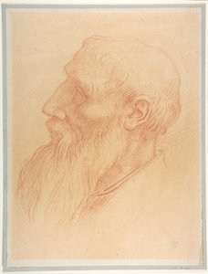 Kopf eines Mannes von Alphonse Legros