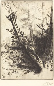 Im Wald (Dans les bois)