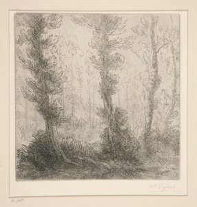 Der kleine See von Alphonse Legros