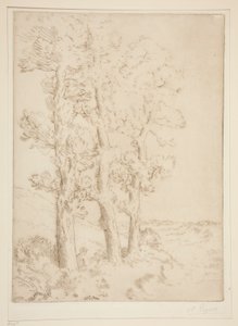 La liseuse: La lecture sous les arbres (Lesende Frau: Lektion unter den Bäumen) von Alphonse Legros