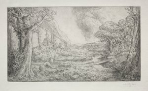 Landschaft