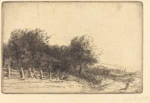 Landschaft