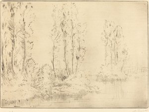 Landschaft