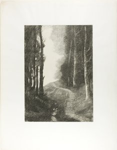 Landschaft mit Birken