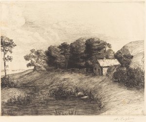 Landschaft mit Teich