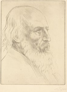 Lord A. Tennyson, 3. Platte von Alphonse Legros