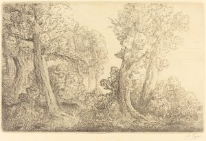 Nahe dem Wald, Veronne (Pres du bois, Veronne) von Alphonse Legros