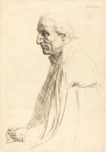 Alter Spanier (Vieil Espagnol)