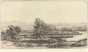 Torfmoore von Alphonse Legros