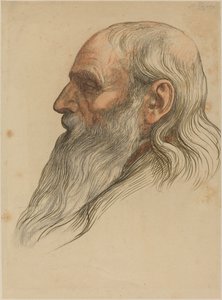 Studie eines Männerkopfes mit Vollbart von Alphonse Legros