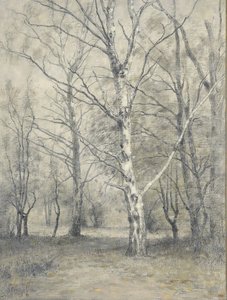Wald mit Birken von Alphonse Stengelin