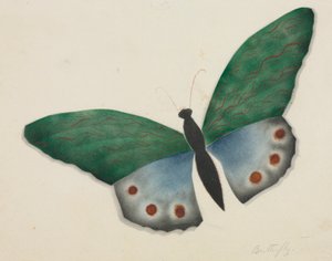 Schmetterling