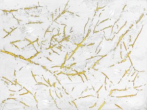 Goldene Organische Textur von Alyson Storms