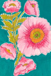 Lebendige rosa Mohnblumen von Alyssa Hamilton