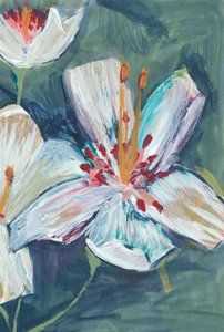 Lebendige weiße Lilienblüten