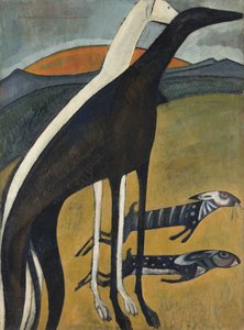 Windhunde Os Galgos