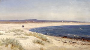 Menschen am Strand von Amaldus Nielsen