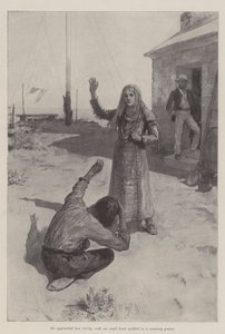 Die Meerjungfrau von Lighthouse Point, von Bret Harte
