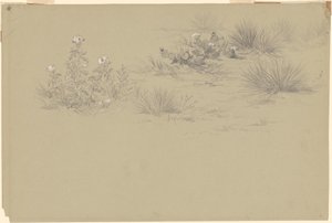 Blühender Busch und Wüstenpflanzen von American 19th Century after John Frederick Kensett