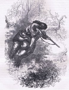 Amerikanischer Scharfschütze auf einem Baum, Illustration aus Cassells Geschichte der Vereinigten Staaten, veröffentlicht von Cassell, Petter & Galpin, ca. 1900 von American English school
