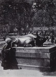 Andächtige Frau streichelt einen bronzenen Stier (s/w Foto) von American Photographer (after)