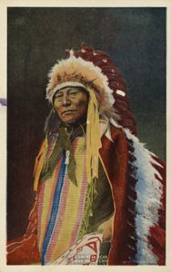 Hollow Horn Bear, Sioux-Indianerhäuptling