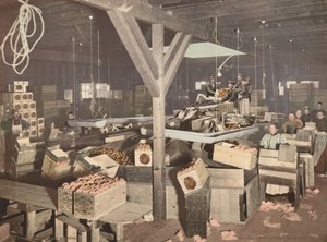 Orangenverpackung in Redlands, veröffentlicht 1899 (Foto) von American Photographer