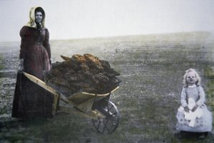 Pionierfrau sammelt Rinderdung, Kansas, ca. 1880 von American Photographer