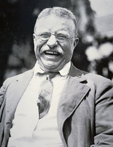 Präsident Theodore Roosevelt, ca. 1917 (s/w Foto) von American Photographer