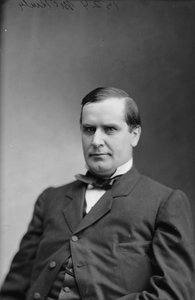 Präsident William McKinley, 1870-80 von American Photographer